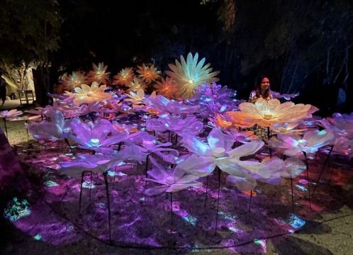 イルミネーション